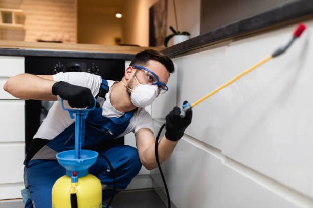 Professional Pest Control in Dunlap, IA