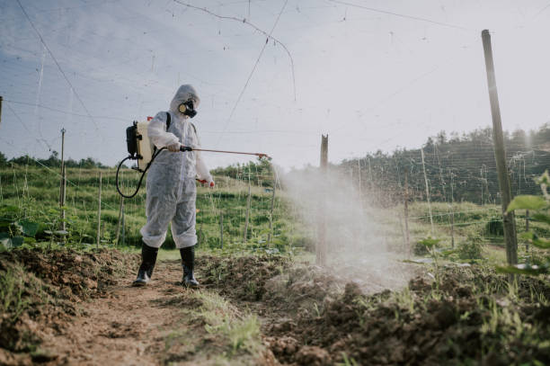 Best Local Pest Control Services  in Dunlap, IA