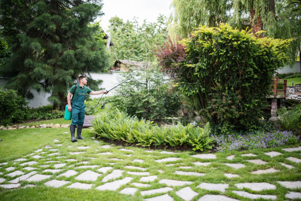 Best Affordable Pest Control Services  in Dunlap, IA