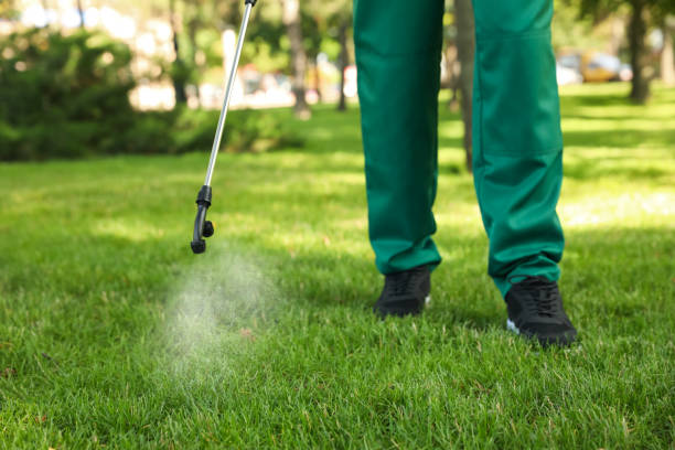 Insect Control in Dunlap, IA