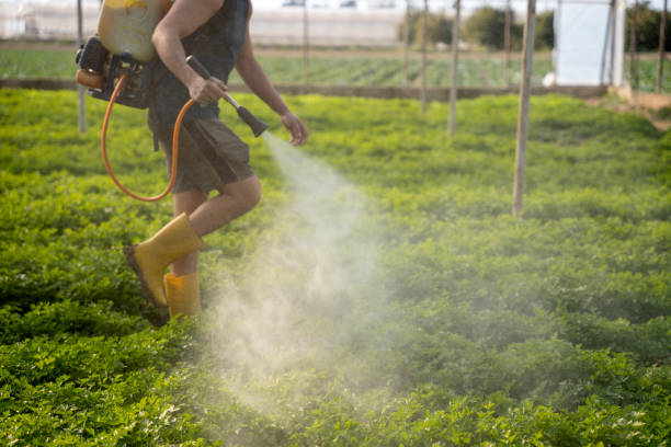 Pest Control Cost in Dunlap, IA