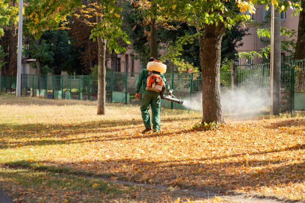 Best Pest Prevention Services  in Dunlap, IA