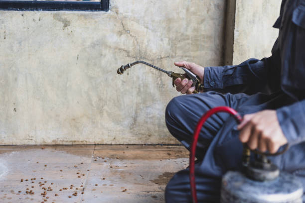 Best Affordable Pest Control Services  in Dunlap, IA