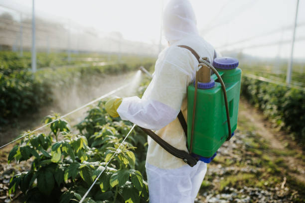 Best Mosquito Control Services  in Dunlap, IA